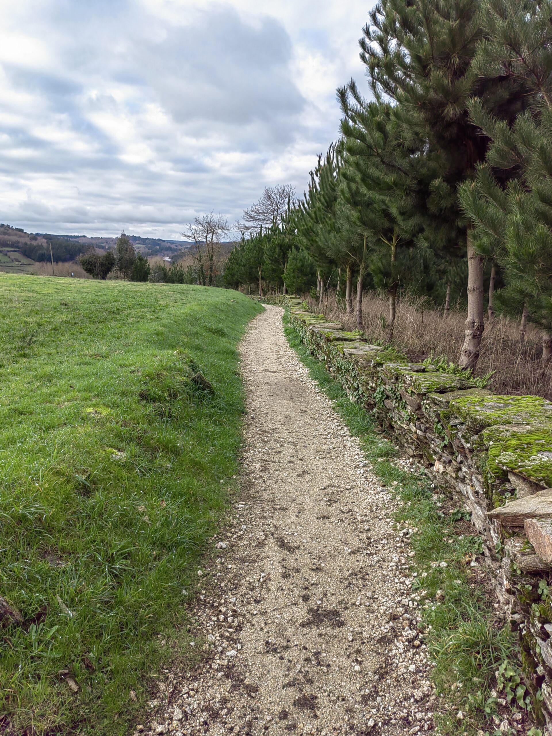 Discover the exciting journey of the Camino de Santiago and why you should do it!